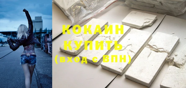 прущие грибы Семикаракорск