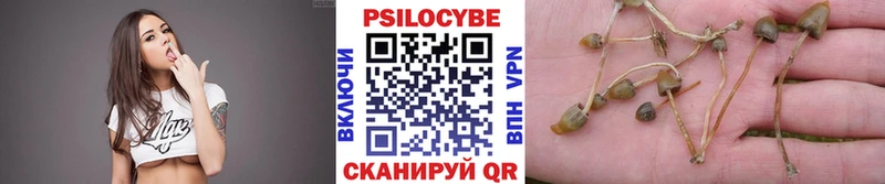 Псилоцибиновые грибы Cubensis Купить закладки Пушкино
